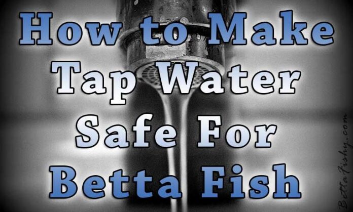 bettafishy tap water safe for be