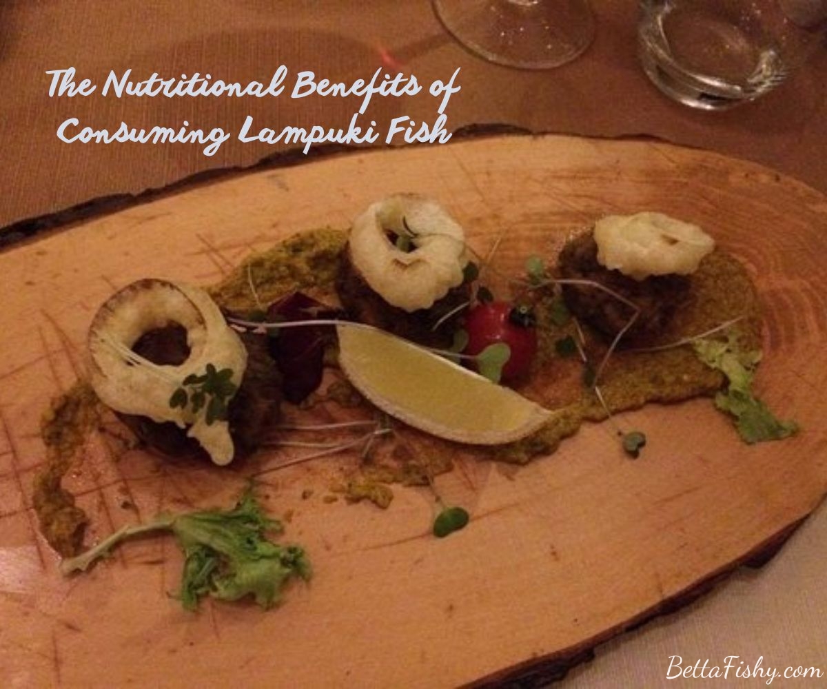The Nutritional Benefits of Consuming Lampuki Fish