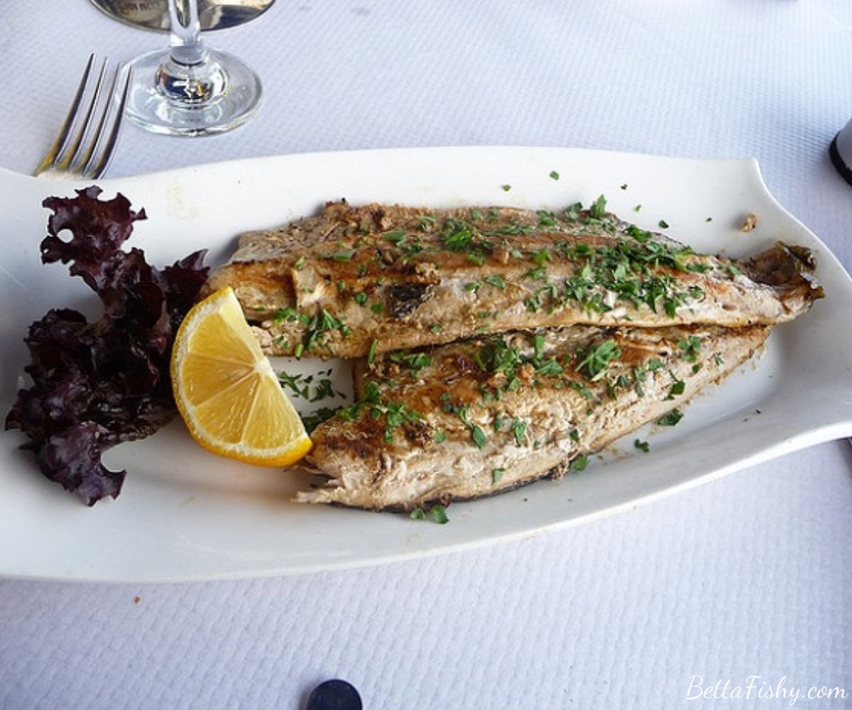 Grilled Lampuki with Mediterranean Flavors (Greek Cuisine)